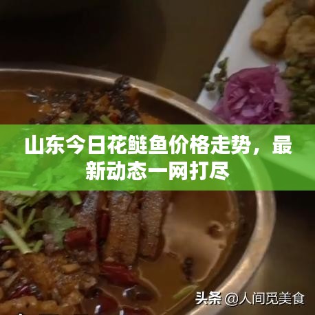 山東今日花鰱魚價格走勢，最新動態(tài)一網(wǎng)打盡