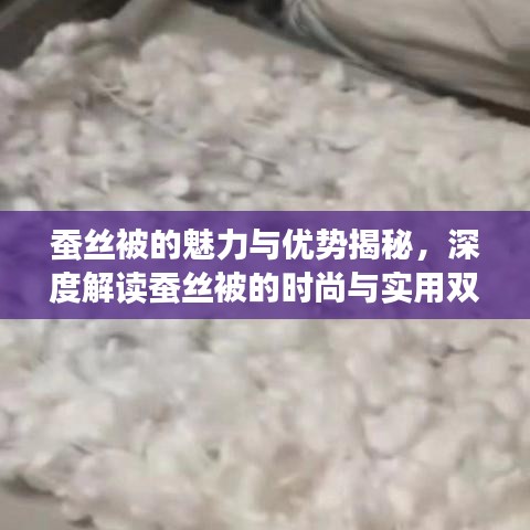 蠶絲被的魅力與優(yōu)勢(shì)揭秘，深度解讀蠶絲被的時(shí)尚與實(shí)用雙重價(jià)值