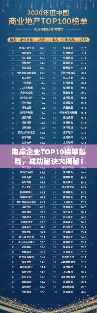 南岸企業(yè)TOP10榜單揭曉，成功秘訣大揭秘！