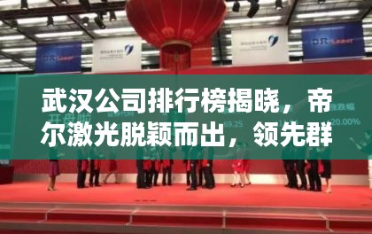 武漢公司排行榜揭曉，帝爾激光脫穎而出，領(lǐng)先群雄