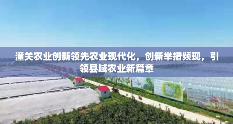 潼關(guān)農(nóng)業(yè)創(chuàng)新領(lǐng)先農(nóng)業(yè)現(xiàn)代化，創(chuàng)新舉措頻現(xiàn)，引領(lǐng)縣域農(nóng)業(yè)新篇章
