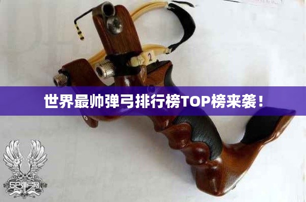 世界最帥彈弓排行榜TOP榜來襲！