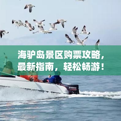 海驢島景區(qū)購票攻略，最新指南，輕松暢游！