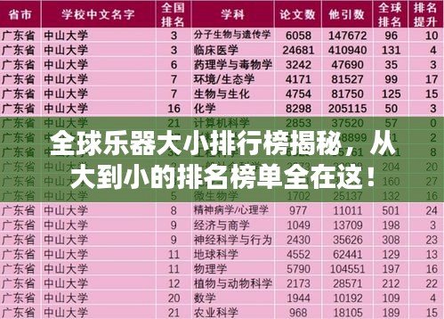 全球樂(lè)器大小排行榜揭秘，從大到小的排名榜單全在這！