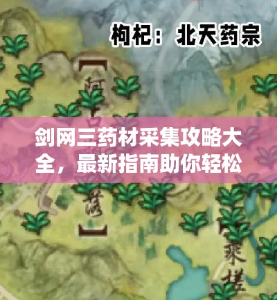 劍網三藥材采集攻略大全，最新指南助你輕松掌握采集技巧！