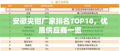 安徽夾鉗廠家排名TOP10，優(yōu)質(zhì)供應(yīng)商一覽