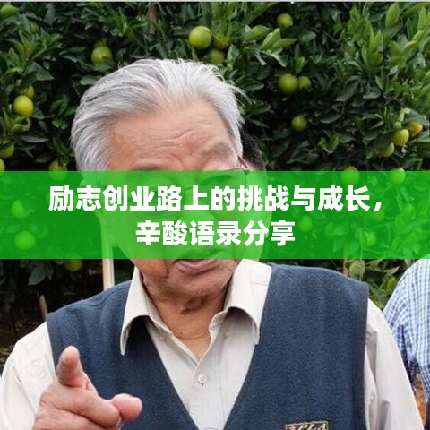 勵(lì)志創(chuàng)業(yè)路上的挑戰(zhàn)與成長(zhǎng)，辛酸語(yǔ)錄分享