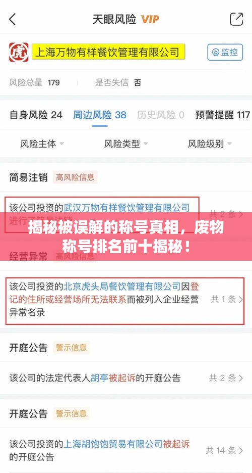 揭秘被誤解的稱號(hào)真相，廢物稱號(hào)排名前十揭秘！