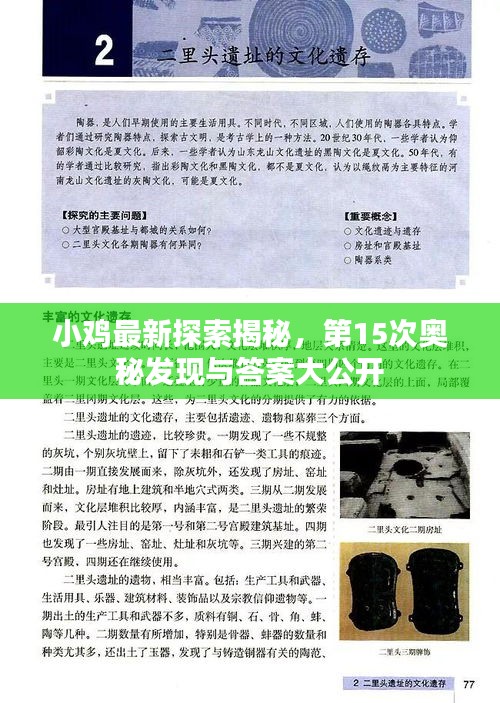 小雞最新探索揭秘，第15次奧秘發(fā)現(xiàn)與答案大公開