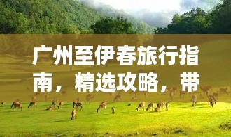 廣州至伊春旅行指南，精選攻略，帶你暢游兩地美景！