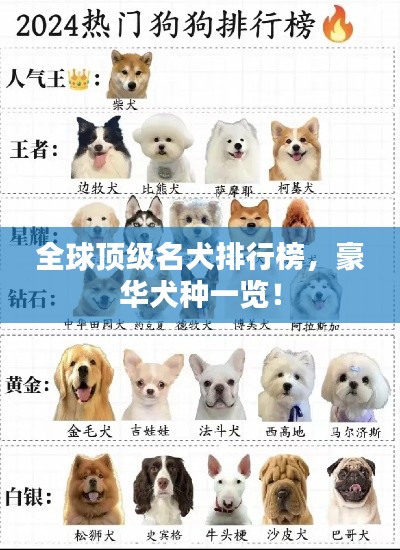 全球頂級名犬排行榜，豪華犬種一覽！