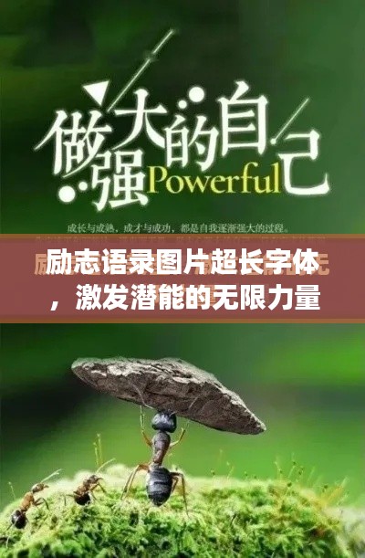 勵志語錄圖片超長字體，激發(fā)潛能的無限力量之源！