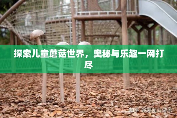探索兒童蘑菇世界，奧秘與樂趣一網(wǎng)打盡
