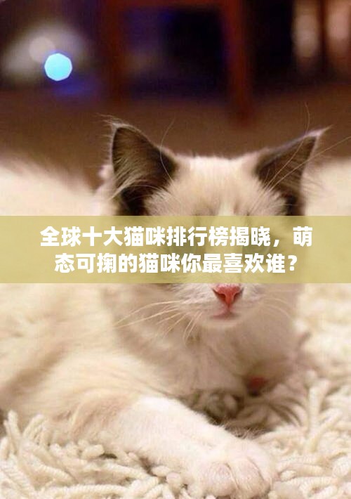 全球十大貓咪排行榜揭曉，萌態(tài)可掬的貓咪你最喜歡誰？
