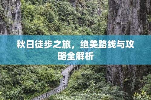 秋日徒步之旅，絕美路線與攻略全解析