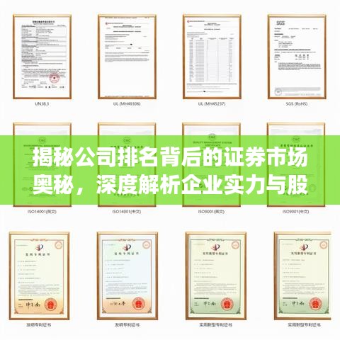 揭秘公司排名背后的證券市場奧秘，深度解析企業(yè)實力與股市表現(xiàn)！