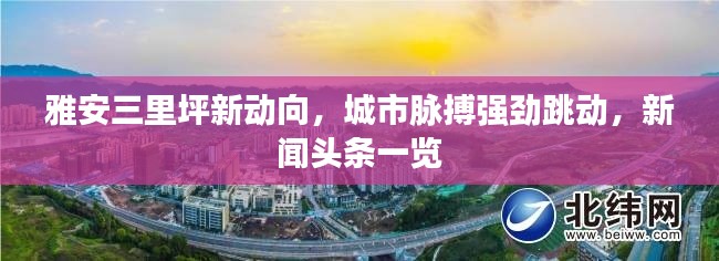 雅安三里坪新動(dòng)向，城市脈搏強(qiáng)勁跳動(dòng)，新聞?lì)^條一覽