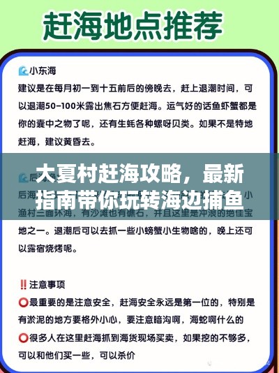 大夏村趕海攻略，最新指南帶你玩轉(zhuǎn)海邊捕魚！