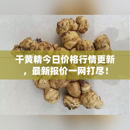 干黃精今日價(jià)格行情更新，最新報(bào)價(jià)一網(wǎng)打盡！