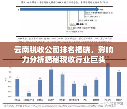 云南稅收公司排名揭曉，影響力分析揭秘稅收行業(yè)巨頭
