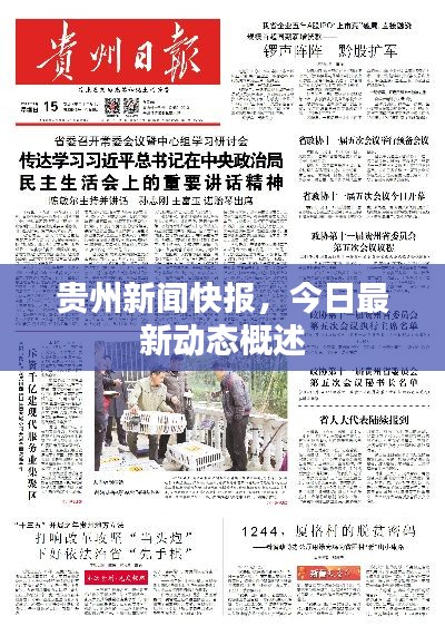 貴州新聞快報(bào)，今日最新動(dòng)態(tài)概述