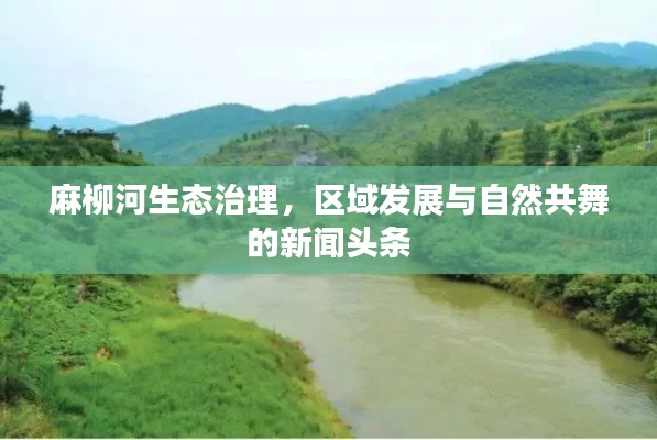 麻柳河生態(tài)治理，區(qū)域發(fā)展與自然共舞的新聞頭條