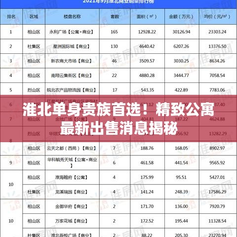 淮北單身貴族首選！精致公寓最新出售消息揭秘