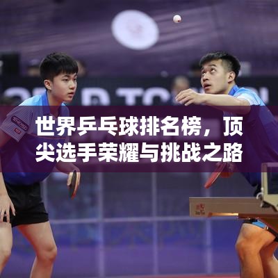 世界乒乓球排名榜，頂尖選手榮耀與挑戰(zhàn)之路揭秘