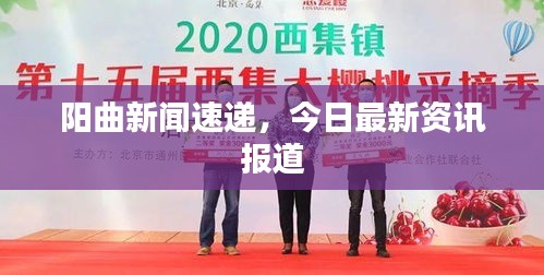 陽曲新聞速遞，今日最新資訊報(bào)道