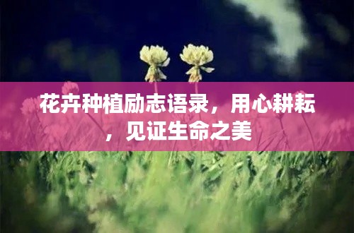 花卉種植勵(lì)志語(yǔ)錄，用心耕耘，見(jiàn)證生命之美