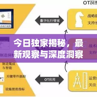 今日獨家揭秘，最新觀察與深度洞察的真相