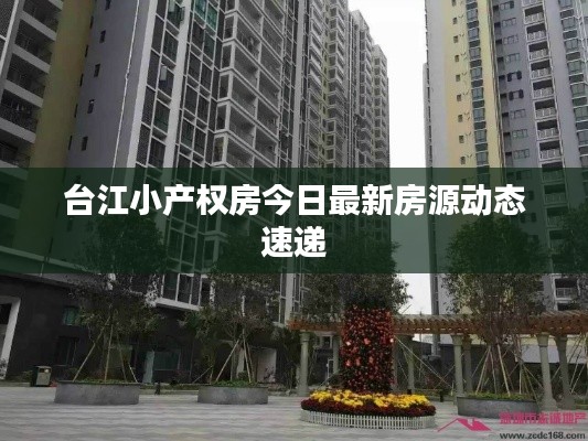 臺江小產(chǎn)權房今日最新房源動態(tài)速遞