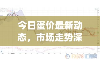 今日蛋價(jià)最新動(dòng)態(tài)，市場(chǎng)走勢(shì)深度解析