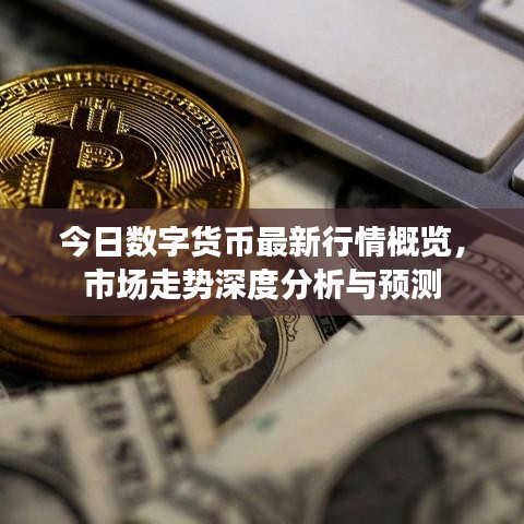 今日數(shù)字貨幣最新行情概覽，市場(chǎng)走勢(shì)深度分析與預(yù)測(cè)