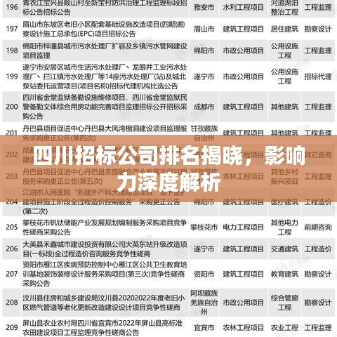 四川招標(biāo)公司排名揭曉，影響力深度解析