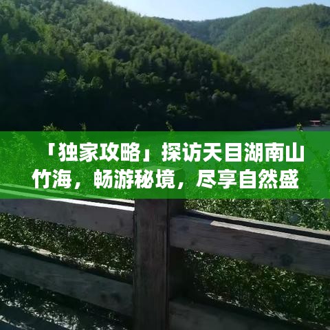 「獨(dú)家攻略」探訪天目湖南山竹海，暢游秘境，盡享自然盛宴！