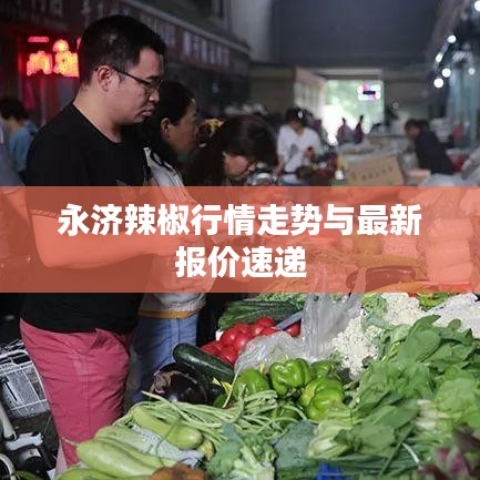 永濟(jì)辣椒行情走勢與最新報價速遞