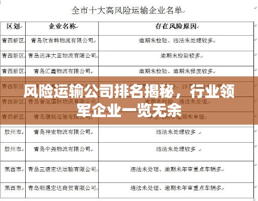 風險運輸公司排名揭秘，行業(yè)領軍企業(yè)一覽無余