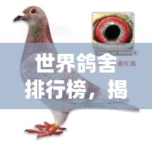 世界鴿舍排行榜，揭秘全球最大鴿舍TOP排名！