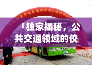 「獨家揭秘，公共交通領(lǐng)域的佼佼者，巴士新公司排名榜單出爐！」