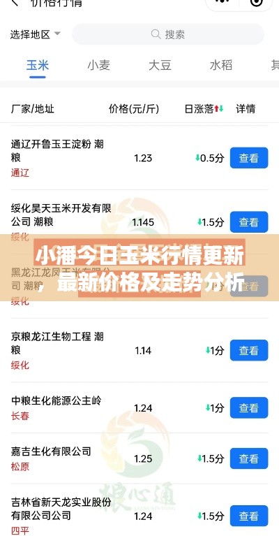 小潘今日玉米行情更新，最新價格及走勢分析