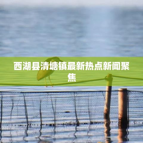 西湖縣清塘鎮(zhèn)最新熱點(diǎn)新聞聚焦