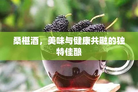 桑椹酒，美味與健康共融的獨特佳釀