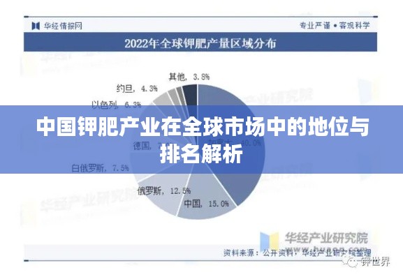 中國(guó)鉀肥產(chǎn)業(yè)在全球市場(chǎng)中的地位與排名解析