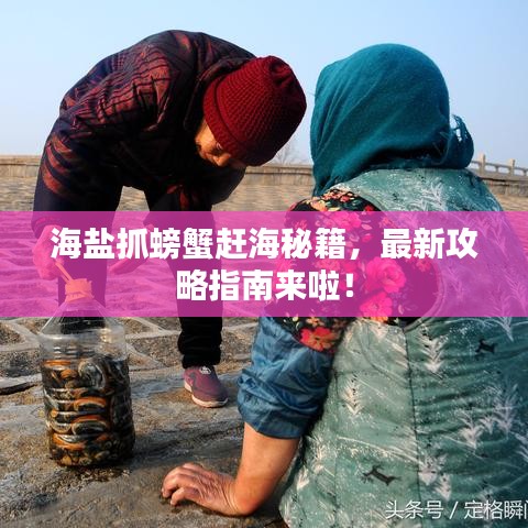 海鹽抓螃蟹趕海秘籍，最新攻略指南來啦！