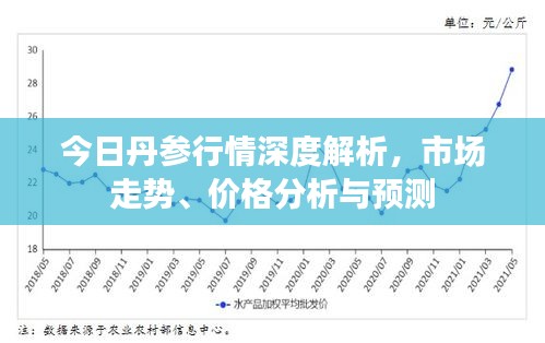 今日丹參行情深度解析，市場走勢(shì)、價(jià)格分析與預(yù)測(cè)