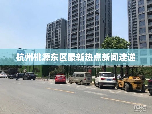杭州桃源東區(qū)最新熱點新聞速遞