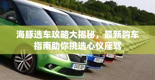 海豚選車攻略大揭秘，最新購(gòu)車指南助你挑選心儀座駕
