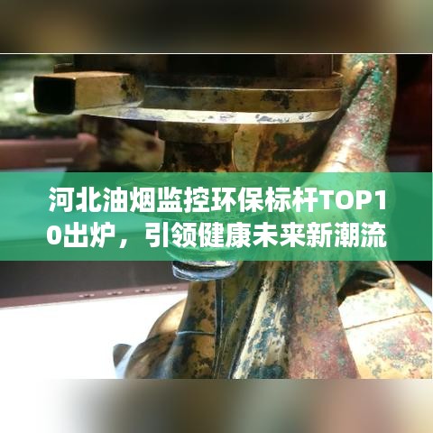河北油煙監(jiān)控環(huán)保標(biāo)桿TOP10出爐，引領(lǐng)健康未來(lái)新潮流