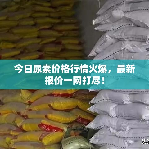 今日尿素價(jià)格行情火爆，最新報(bào)價(jià)一網(wǎng)打盡！